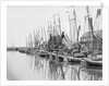 Fishing Boats at Inner Harbor by Anonymous