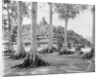 Buddhist Temple Complex by Anonymous