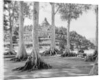 Buddhist Temple Complex by Anonymous
