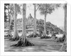 Buddhist Temple Complex by Anonymous