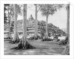 Buddhist Temple Complex by Anonymous