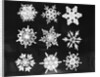 Assorted Snowflake Patterns by Anonymous