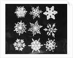 Assorted Snowflake Patterns by Anonymous