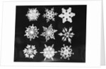 Assorted Snowflake Patterns by Anonymous