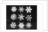 Assorted Snowflake Patterns by Anonymous