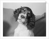 Portrait of Springer Spaniel Puppy by Anonymous