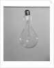 Incandescent Electric Light Bulb with Tungsten Filling by Anonymous