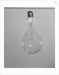 Incandescent Electric Light Bulb with Tungsten Filling by Anonymous
