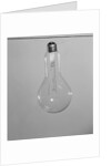 Incandescent Electric Light Bulb with Tungsten Filling by Anonymous