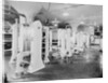 View of Pasteurization Exchangers by Anonymous