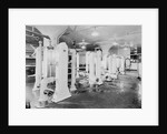 View of Pasteurization Exchangers by Anonymous