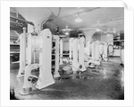 View of Pasteurization Exchangers by Anonymous