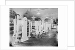 View of Pasteurization Exchangers by Anonymous