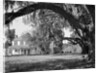 Exterior View of an Old Southern Home by Anonymous
