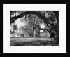 Exterior View of an Old Southern Home by Anonymous