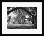 Exterior View of an Old Southern Home by Anonymous