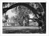 Exterior View of an Old Southern Home by Anonymous