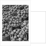 Baskets of Apples by Anonymous