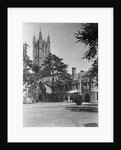 View of Princeton University, Madison Hall by Anonymous