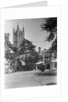 View of Princeton University, Madison Hall by Anonymous