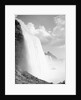 View of Niagara Falls by Anonymous