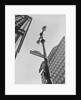View of Madison Avenue in New York City by Anonymous