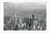 New York Skyline by Anonymous