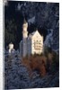 Neuschwanstein Castle, Bavaria by Anonymous