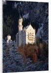Neuschwanstein Castle, Bavaria by Anonymous