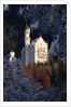 Neuschwanstein Castle, Bavaria by Anonymous