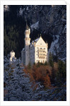 Neuschwanstein Castle, Bavaria by Anonymous