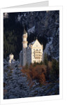 Neuschwanstein Castle, Bavaria by Anonymous
