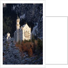 Neuschwanstein Castle, Bavaria by Anonymous