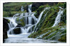 Waterfalls at Gjainfossar by Anonymous