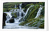 Waterfalls at Gjainfossar by Anonymous