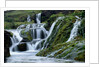 Waterfalls at Gjainfossar by Anonymous