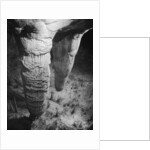 Stalactites and Stalagmites in Carlsbad Caverns by Anonymous
