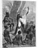 Capuchin, Franciscan Missionary in the Congo by Anonymous