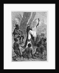 Capuchin, Franciscan Missionary in the Congo by Anonymous