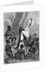 Capuchin, Franciscan Missionary in the Congo by Anonymous