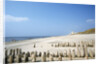 Sylt Beach by Anonymous