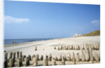 Sylt Beach by Anonymous
