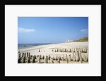Sylt Beach by Anonymous
