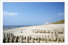 Sylt Beach by Anonymous
