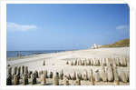 Sylt Beach by Anonymous