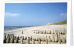 Sylt Beach by Anonymous