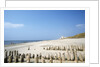 Sylt Beach by Anonymous