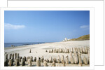 Sylt Beach by Anonymous