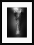 Face of Seahorse by Anonymous