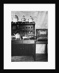 Electric Stove and Oven by Anonymous